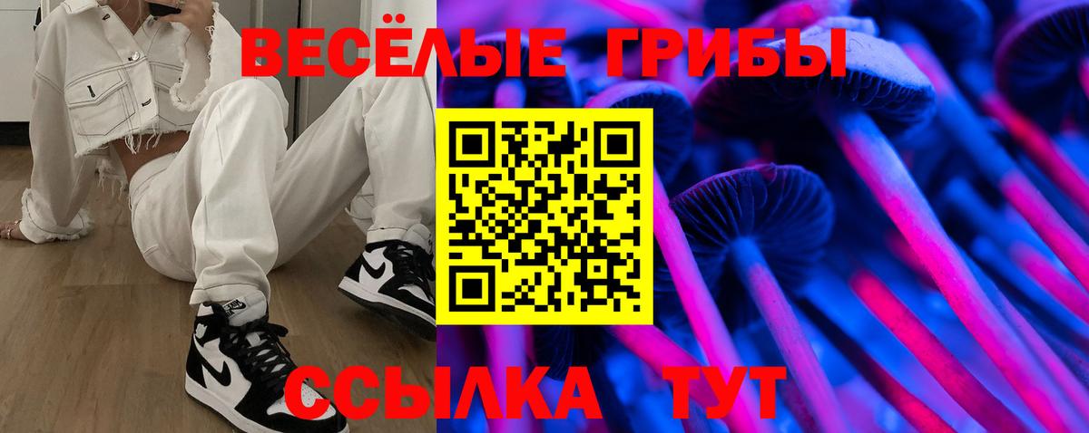 как найти   Псилоцибиновые грибы Psilocybine cubensis  Вход с VPN  Соль-Илецк 